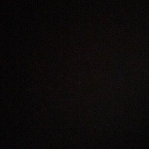 Meet your Posher, Nora